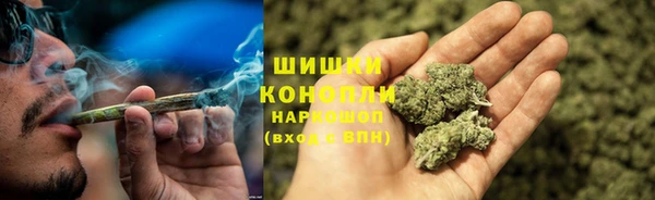 прущие грибы Алексин