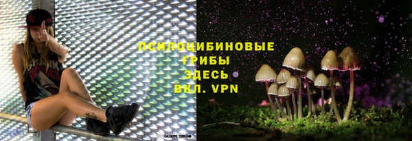 2c-b Алексеевка