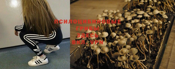 2c-b Алексеевка