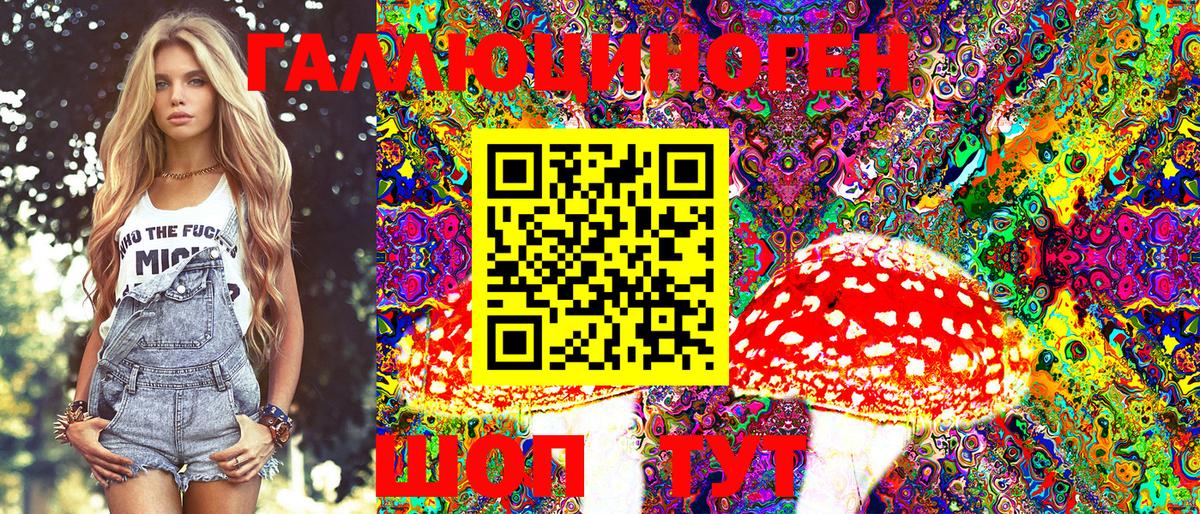 Псилоцибиновые грибы Magic Shrooms  купить наркотики сайты  Псилоцибиновые грибы GOLDEN TEACHER  Лесной  Вход с VPN 