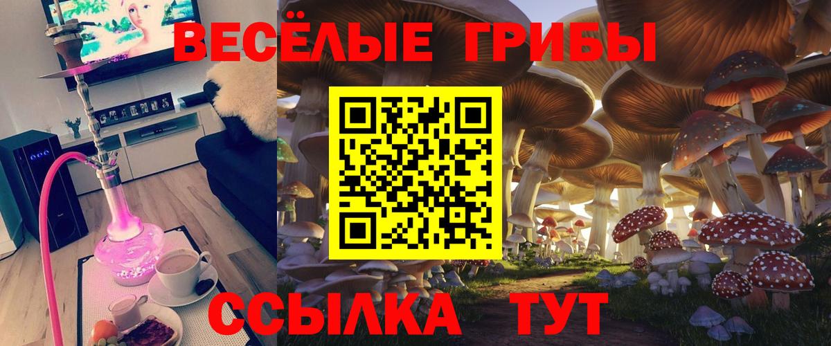Метамфетамин  ГАШИШ  Гашиш  КОКАИН  Марихуана  Меф МЯУ МЯУ кристаллы  А ПВП СК кристаллы  Вход с VPN  Лесной  Марихуана  Меф 